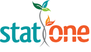 StatOne Logo (small)